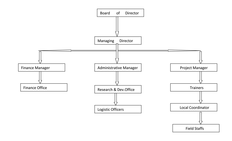 Board Of Directors
